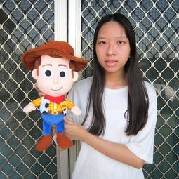 【迪士尼】12吋 正版 星際寶貝 史迪奇 維尼熊 小熊維尼 抱置物款 抱物款 手機置物 手機手納 娃娃 玩偶 布偶 歷史價格詳細信息