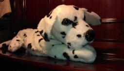 ~彤妍小館~☆☆美國知名品牌 BOBOS 時尚女伶全真皮羊皮肩背包(優雅黑) 歷史價格詳細信息