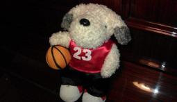 ~彤妍小館~☆☆美國知名品牌 BOBOS 時尚女伶全真皮羊皮肩背包(優雅黑) 歷史價格詳細信息