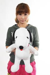 翔寶貝@皮卡丘 大隻 皮卡丘娃娃 55公分正版神奇寶貝 寶可夢 生日禮物 鳳山可自取 歷史價格詳細信息