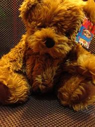 *春大地購物*全新 可愛造型零錢包  特價每款49元 歷史價格詳細信息