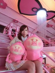 【醜羽】狂神羽毛球 12隻裝鵝毛室內室外訓練打不易爛鴨毛羽毛球 歷史價格詳細信息