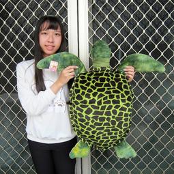 【】海龜爸爸小金山防曬霜兒童防曬軍訓物理 歷史價格詳細信息