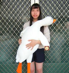 趴趴大白鵝抱枕 可愛大白鵝 舒適柔軟 鵝抱枕  動物抱枕 鴨子玩偶 靠墊 生日禮物 交換禮物 鴨鴨抱枕【HL39】 歷史價格詳細信息