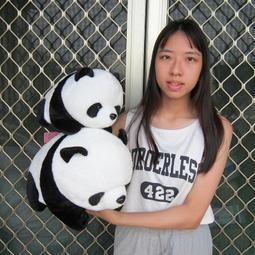 【貓熊 娃娃 坐姿 10英吋】熊貓 絨毛 玩偶 填充玩具 台松電器 Panasonic National 歷史價格詳細信息