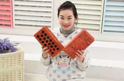 ☆汪汪鼠☆【2款】創意火烈鳥紅鶴小豬紙巾抽 玩偶 毛絨娃娃 仿真抱枕 聖誕節交換禮物 生日禮物 情人節告白 辦公室小物 歷史價格詳細信息