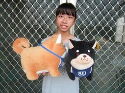 『柴犬/絨毛抱枕』KAMIO 麵包柴犬 12吋巧克力螺旋狗狗寵物玩偶玩具 娃娃周邊卡通動漫送禮禮物兒童 歷史價格詳細信息