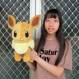 伊布娃娃 正版 神奇寶貝 伊布 寶可夢 伊布絨毛玩偶 伊布抱枕  伊布玩偶~全省配送 歷史價格詳細信息