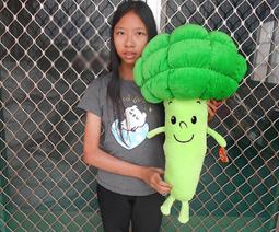 花椰菜娃娃 高70公分 花椰菜玩偶 花椰菜玩偶抱枕~捧花娃娃 蔬菜 大花椰菜 婚禮 情人禮物~全省配送 歷史價格詳細信息