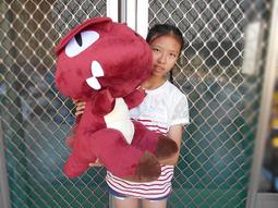 婷芳小舖超大玫瑰熊娃娃高100公分超大泰迪熊娃娃 泰迪熊大玩偶  泰迪熊大娃娃 生日情人禮物高雄可面交 歷史價格詳細信息