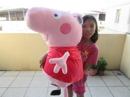 佩佩豬娃娃 正版授權 粉紅豬小妹 6吋 豬爸爸 豬媽媽 喬治 佩佩豬抱小熊 恐龍喬治 Peppa Pig 粉紅豬小妹 歷史價格詳細信息