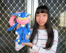 皮卡丘娃娃 正版 神奇寶貝娃娃  寶可夢玩偶~12吋 皮卡丘 趴姿皮卡丘玩偶~生日情人禮物~高雄可面交 歷史價格詳細信息