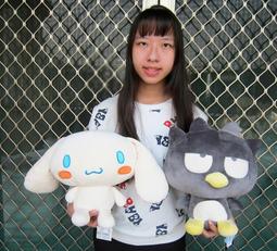 正版三麗鷗大耳狗一番賞/手提袋/手提包。 歷史價格詳細信息