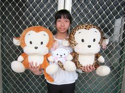 婷芳小舖~大頭熊娃娃~高33公分~湯姆熊/湯姆熊玩偶~非熊大娃娃/熊大玩偶 TOM熊~生日情人禮物~全省配送 歷史價格詳細信息