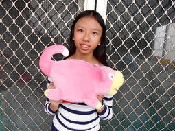 @呆呆寵物@C30浪浪成貓專屬優惠區比F32更划算 歷史價格詳細信息