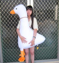 大白鵝抱枕 白鵝抱枕 天鵝抱枕 大白鵝娃娃 天鵝娃娃 長抱枕 夾腳枕 陪睡抱枕 大玩偶 交換禮物 趴睡大白鵝 鴨子玩偶 歷史價格詳細信息