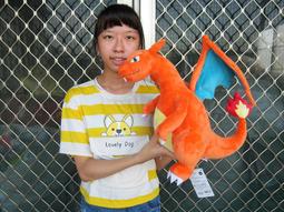 噴火龍 小火龍 火恐龍進化組 pvc擺件模型神奇寶貝手辦寵物 歷史價格詳細信息