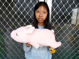 趴趴豬娃娃 小豬 肉豬娃娃~15吋 趴趴豬  趴趴豬抱枕 趴趴豬玩偶~生日情人禮物~全省配送 價格比較,價格查詢,歷史價格詳細信息