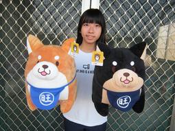 柴犬長紗布巾 日本製 柴犬大學 歷史價格詳細信息