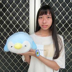 企鵝娃娃 企鵝玩偶 太陽花企鵝公仔 安撫布娃娃 可愛陪睡玩偶 超萌毛絨玩具 少女心布偶女 歷史價格詳細信息