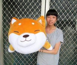 婷芳小舖~大頭熊娃娃~高33公分~湯姆熊/湯姆熊玩偶~非熊大娃娃/熊大玩偶 TOM熊~生日情人禮物~全省配送 歷史價格詳細信息