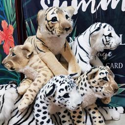 《獵獅》 1890年左右古書插畫｜印刷細膩如鈔票 歷史價格詳細信息