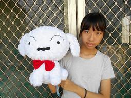 全家 蠟筆小新小白圍巾夜燈 最新款拍拍小夜燈 第二代 歷史價格詳細信息