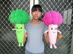 花椰菜娃娃 高70公分 花椰菜玩偶 花椰菜玩偶抱枕~捧花娃娃 蔬菜 大花椰菜 婚禮 情人禮物~全省配送 歷史價格詳細信息