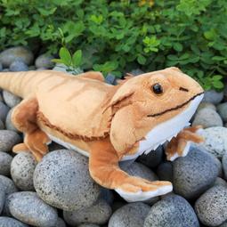 【仿真絨毛玩偶】現貨❤老虎.白虎.花豹.幼獅.雪豹❤布偶/抱枕/填充玩具/毛絨/娃娃/擬真/動物/獵豹/獅子/豹/雲豹/ 歷史價格詳細信息