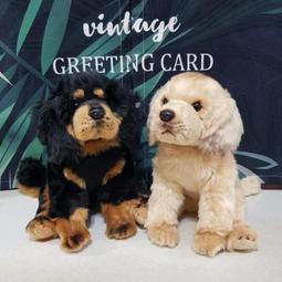 ❤娃娃家❤【森林系cp002】春夏新款 高級感 時尚 百搭 緞面 配色 長袖棒球服外套【預購】 歷史價格詳細信息