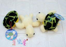 小海龜娃娃 可脫殼式 小烏龜 綠蠵龜 小琉球 小海龜 海龜 烏龜 歷史價格詳細信息