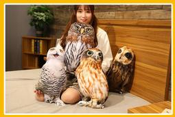 ☆汪汪鼠☆【4尺寸】仿真榴槤玩偶 水果抱枕 靠墊 枕頭 兒童節 生日禮物 家居日用裝飾 聖誕節交換禮物【開立發票】 歷史價格詳細信息