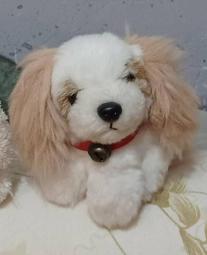 查理布朗娃娃 Q軟抱枕 史努比娃娃 正版授權 查理布朗玩偶 SNOOPY 查理布朗玩偶 情人節禮物 全省宅配 歷史價格詳細信息