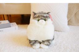 灰色小貓咪耳朵發箍可愛萌小兔子發飾舞會聚會派對夜店閃鉆party 歷史價格詳細信息