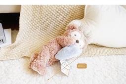 日本迪士尼樂園2014年限定 米老鼠 米妮 歷史價格詳細信息