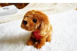 【動物走路溜滑梯-原木色-狗狗、刺蝟】☆捷克手工山毛櫸木裝飾品☆捷克啄木鳥☆木製玩具☆歐洲捷克原裝進口 歷史價格詳細信息