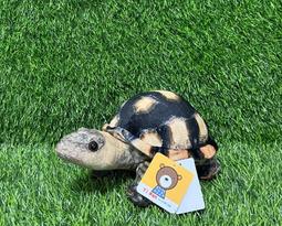 【捌貳壹】 海綿寶寶 娃娃 (35~65公分) 抱枕 派大星 蟹老闆 海棉寶寶 歷史價格詳細信息