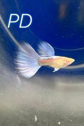 [私訊特價]★彡日本製Panasonic國際牌10人份微電腦電子鍋 SR-JMX188★彡 歷史價格詳細信息