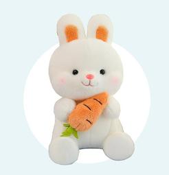 胡蘿蔔兔毛絨玩具愛妮兔公仔陪伴玩偶兒童節日女生日禮物抱睡娃娃 歷史價格詳細信息