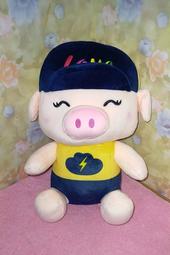 【酷寶】智能數顯車載冰箱 液晶調溫雙核 車家兩用小冰箱 單門冷藏行動冰箱 半導體車用冰箱 歷史價格詳細信息