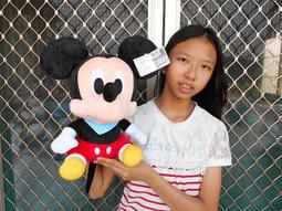 米奇米妮娃娃~正版迪士尼~米奇米妮~高28公分~米老鼠玩偶~米奇玩偶~米妮玩偶~米老鼠~生日情人禮物 歷史價格詳細信息