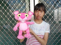 頑皮豹 歷史價格詳細信息