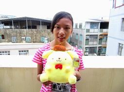 布丁狗絨毛娃娃玩偶抱枕日式甜點款30公分 89369(生日禮物 聖誕節)【小品館】 歷史價格詳細信息