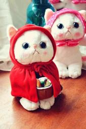 [福利品]CAT S62 PRO 三防智慧型手機 歷史價格詳細信息