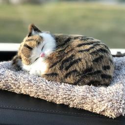 女士高檔貓眼石耳環氣質高級感203年新款潮女輕奢小眾設計感耳飾~滿200元發貨 歷史價格詳細信息