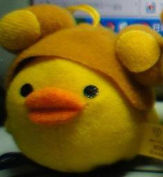 一隻毛吉吉 everbab睫毛夾向日葵一飛沖天初學者捲翹自然持久定型 歷史價格詳細信息