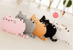 抱抱貓 微笑貓 歡樂表情大頭貓 婚禮 生日 送禮 相當討喜 絕對可愛 腳底可繡字 (可超取)【宅熊】 歷史價格詳細信息