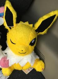 伊布吊飾 4吋 皮卡丘吊飾 卡比獸吊飾 小火龍吊飾 精靈寶可夢 正版授權 神奇寶貝 伊布玩偶 寶可夢娃娃 pokemo 歷史價格詳細信息