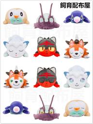 火斑喵 短袖上衣 寶可夢 親子裝 大人 小孩 神奇寶貝 親子裝 台灣製造 純棉 卡通印花 歷史價格詳細信息