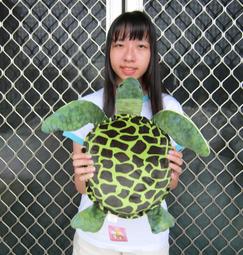 小海龜娃娃 可脫殼式 小烏龜 綠蠵龜 小琉球 小海龜 海龜 烏龜 歷史價格詳細信息